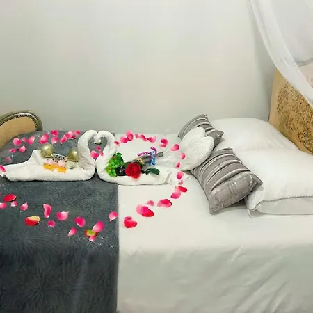 Avec Jacuzzi Y Piscina * Carcassonne